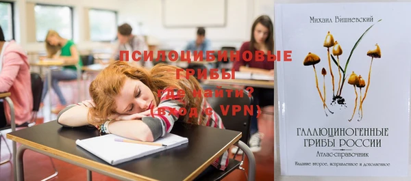 индика Арсеньев