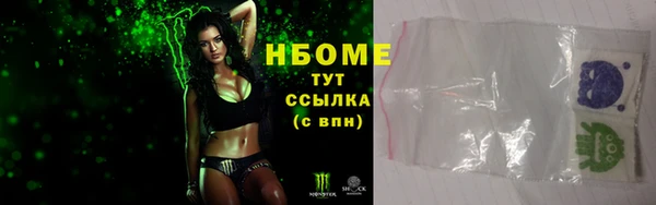 индика Арсеньев