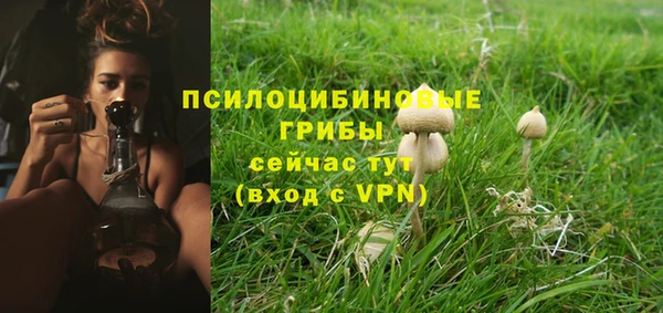 индика Арсеньев