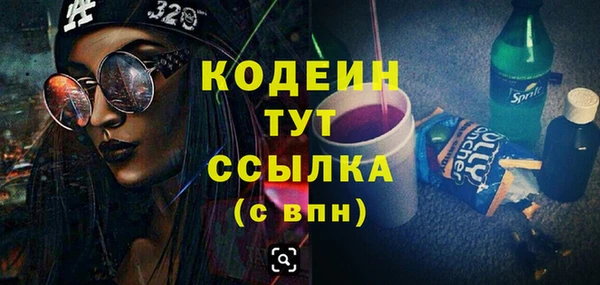 индика Арсеньев