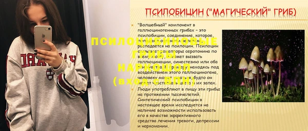 индика Арсеньев