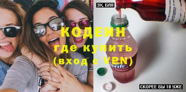 индика Арсеньев