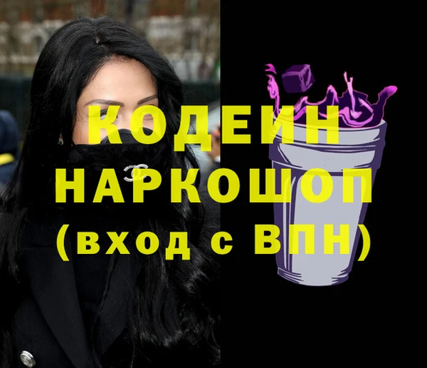 индика Арсеньев