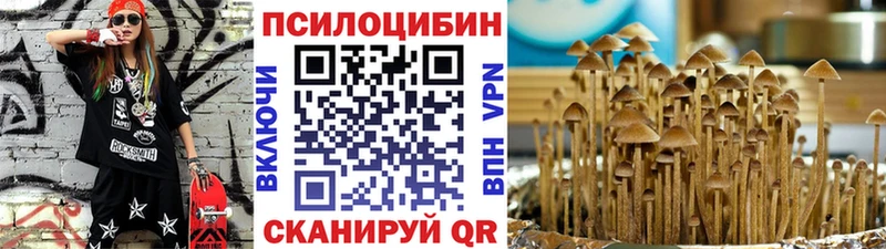 Галлюциногенные грибы Psilocybe  как найти закладки  Куса 