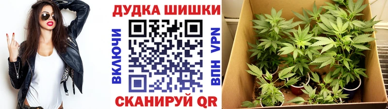 Шишки марихуана THC 21% купить наркоту Куса